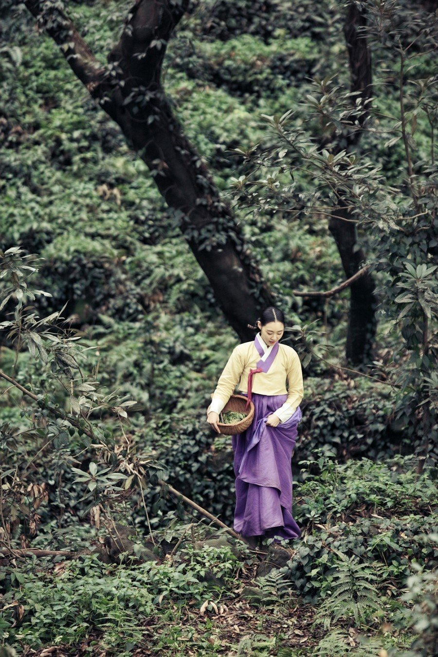 Кадры из Книга семьи Гу (2013)