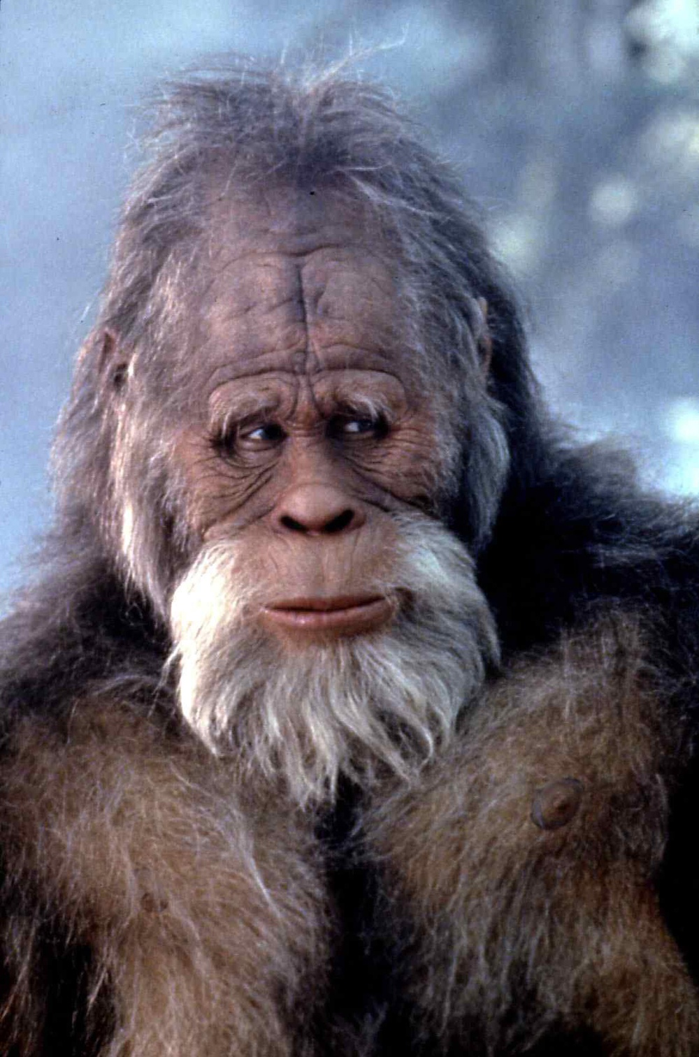 Гарри и Хендерсоны (1987)