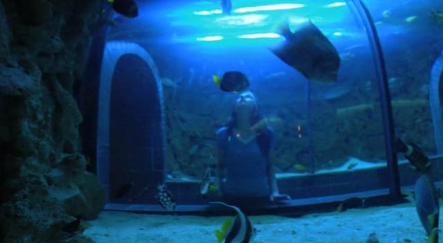 Сокрушённая (2009)