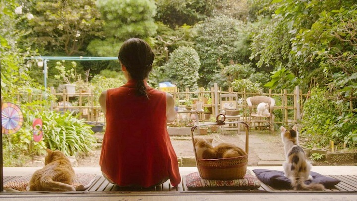 Кадры из Кошка напрокат (2012)