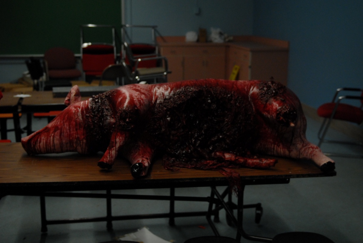 Кадры из Воскрешение (2013)