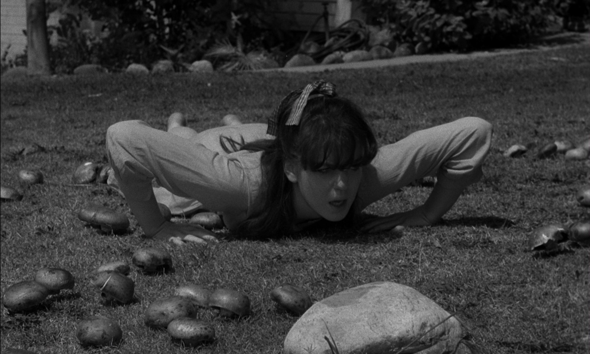 Паучонок, или Безумнейшая история из когда-либо расказанных (1967)