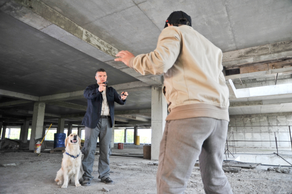 Кадры из Собачья работа (2013)