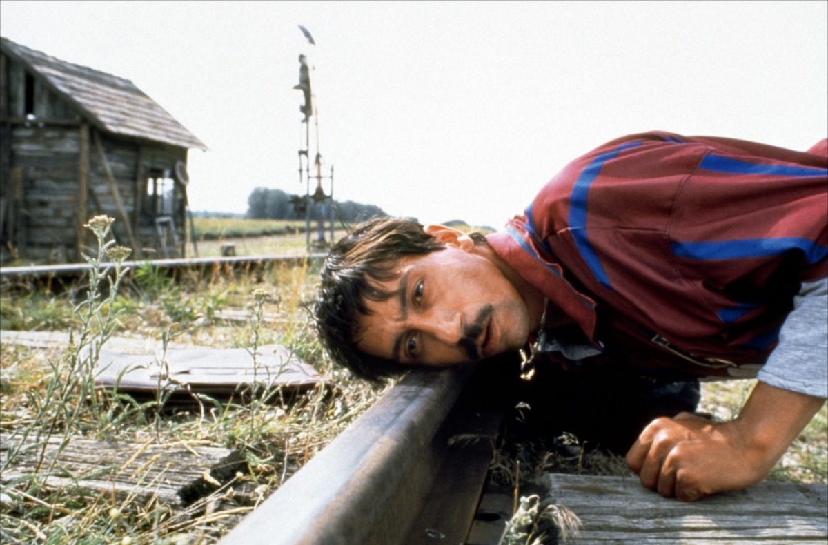 Кадры из Черная кошка, белый кот (1998)