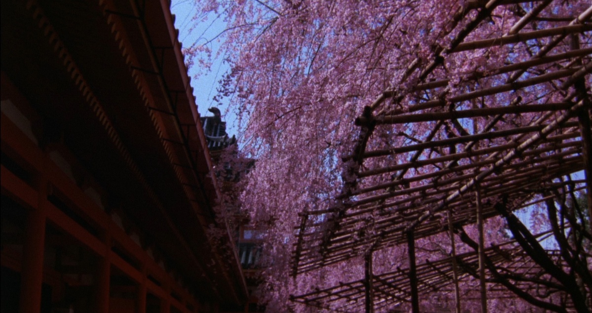 Кадры из Мелкий снег (1983)