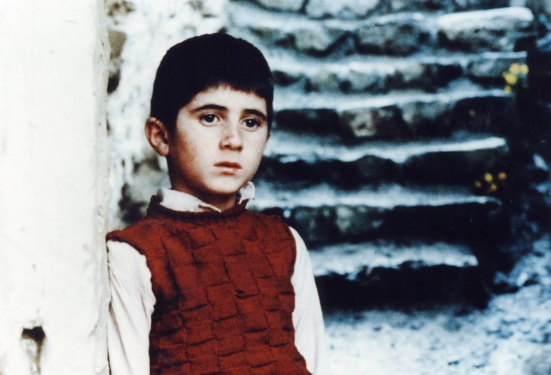 Кадры из Где дом друга? (1987)