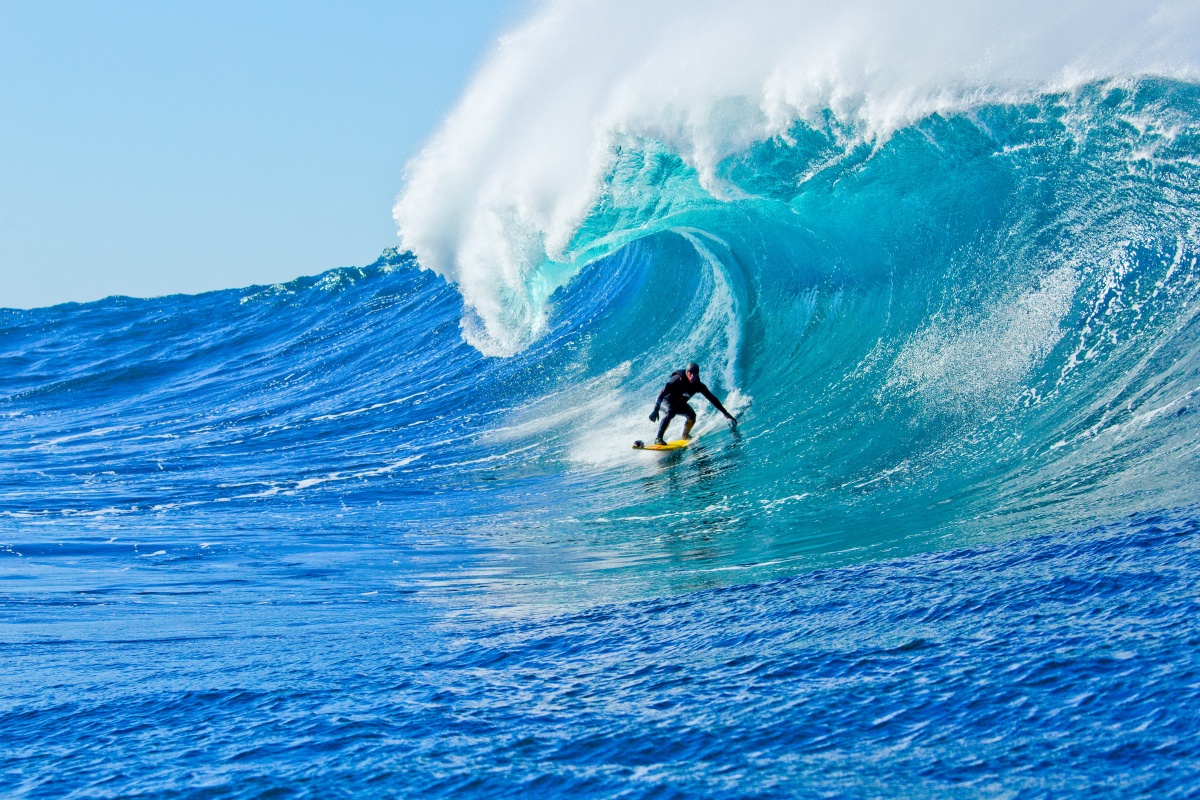 Кадры из Убойные серферы (2012)