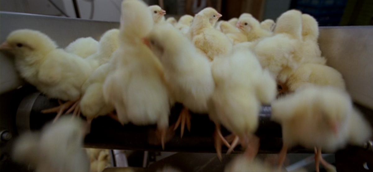 Кадры из Барака (1992)