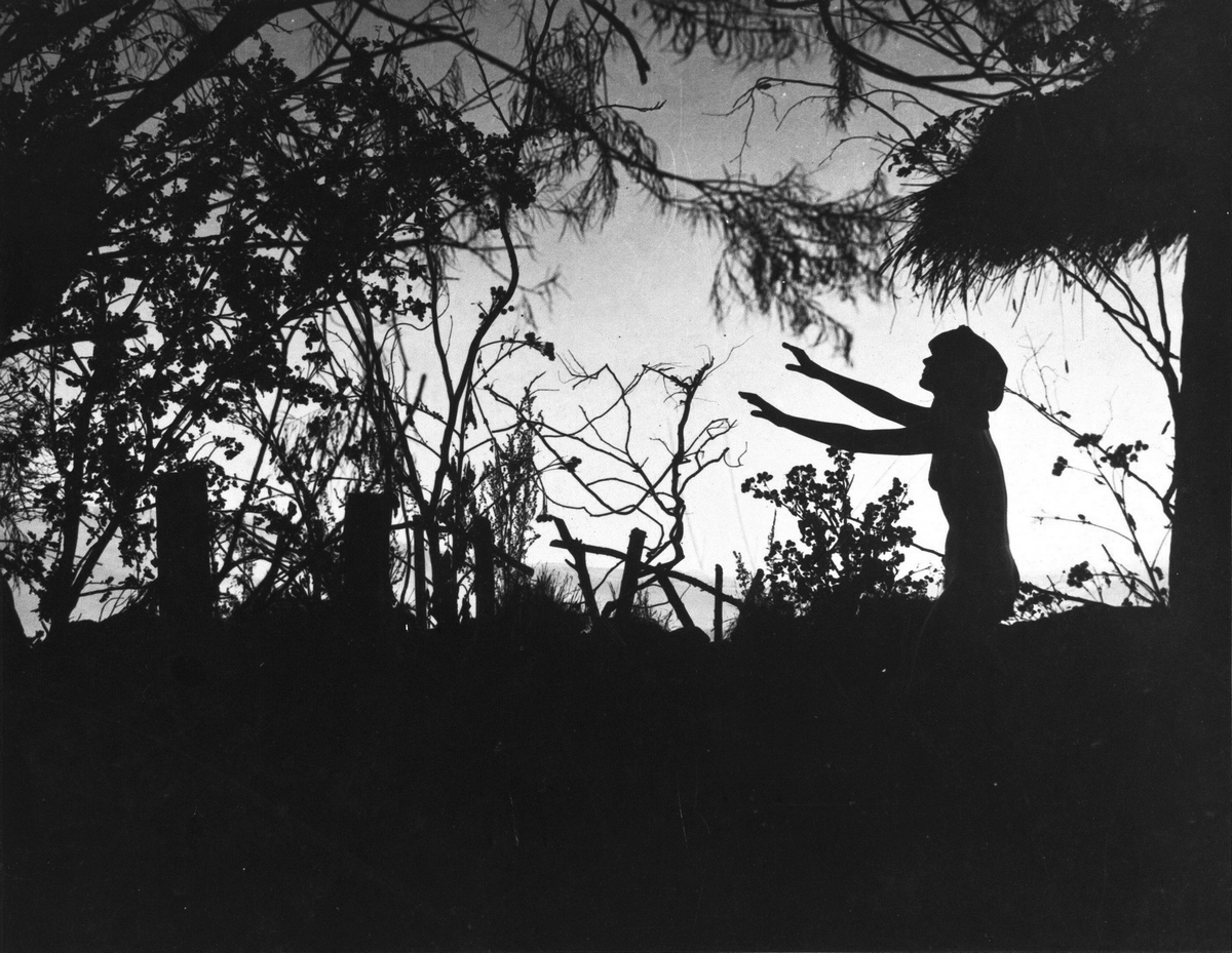 Кадры из Ведьмы (1922)