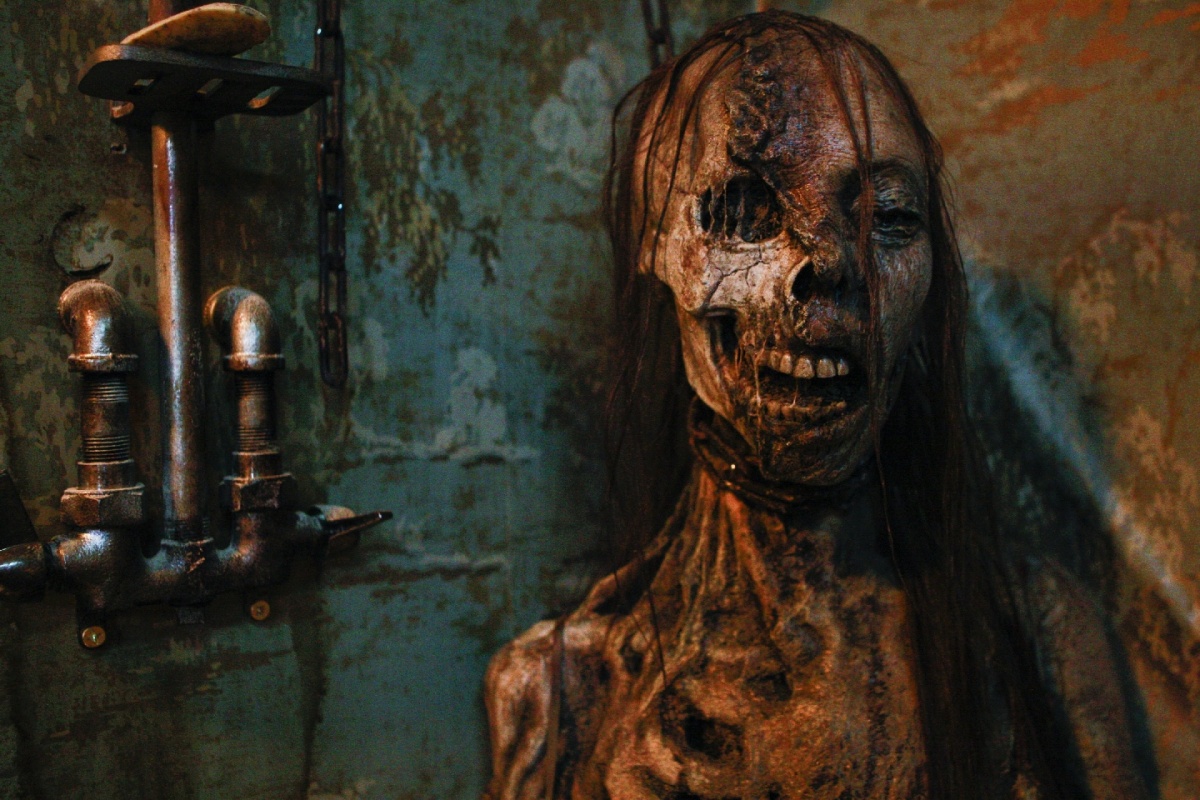 Кадры из Крик в общаге (2009)