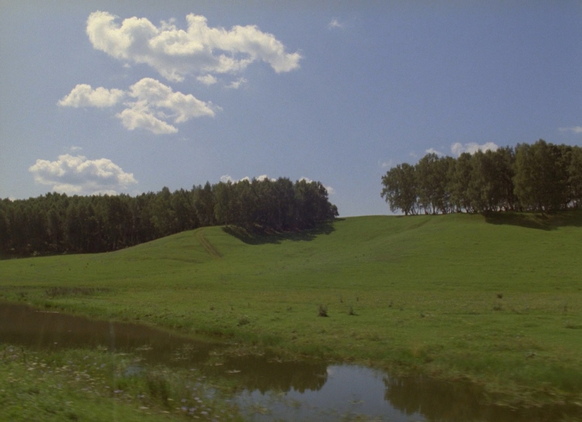 Кадры из Сны (2009)