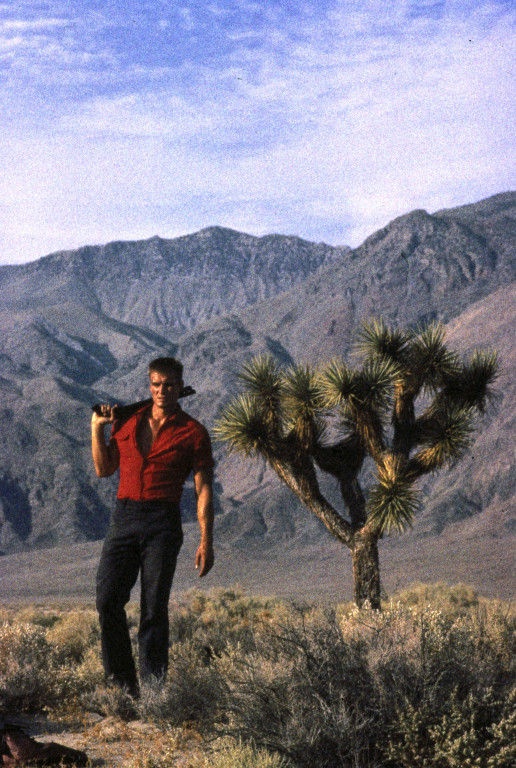 Кадры из Дерево Джошуа (1993)