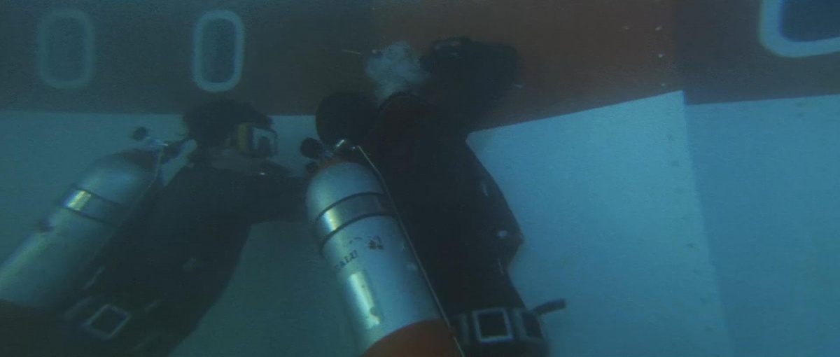 Кадры из Спасите Конкорд (1979)