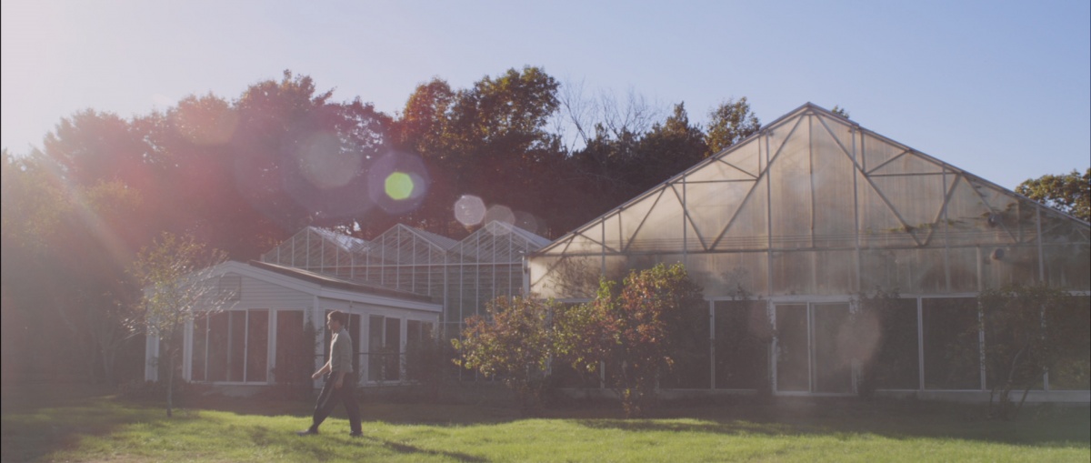 Кадры из Голыми, как пришли (2012)