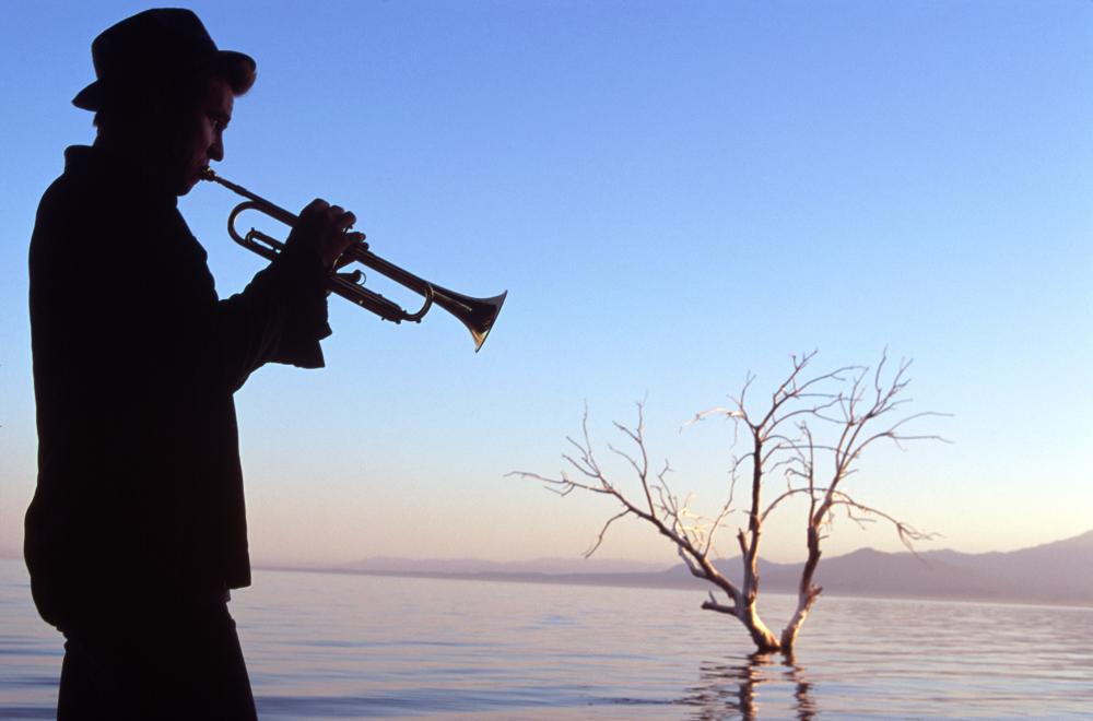 Кадры из Море Солтона (2002)