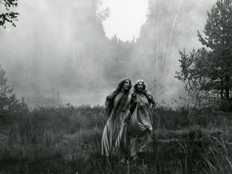 Серебряная пряжа Каролины (1985)