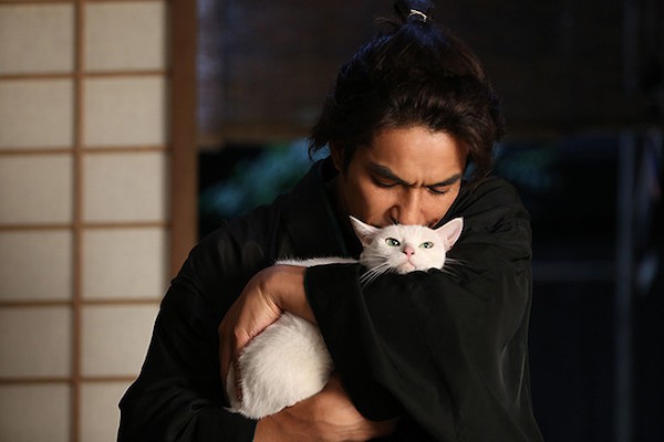 Кадры из Самурай и кошка (2014)