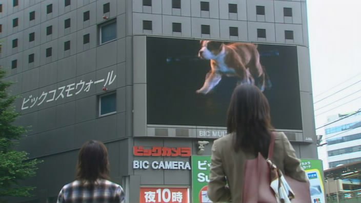 Кадры из Сапури (2006)