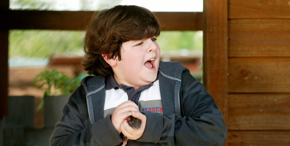 Кадры из Эйс Вентура младший (2009)