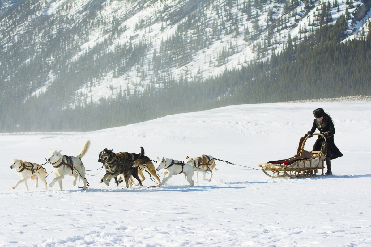 Кадры из Клондайк (2014)