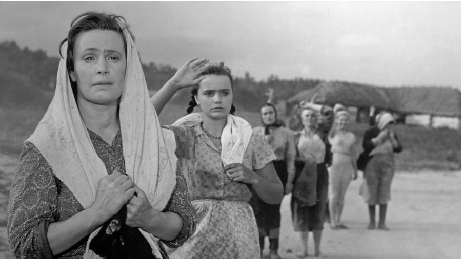 Кадры из Баллада о солдате (1959)