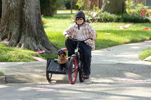 Кадры из Эйс Вентура младший (2009)