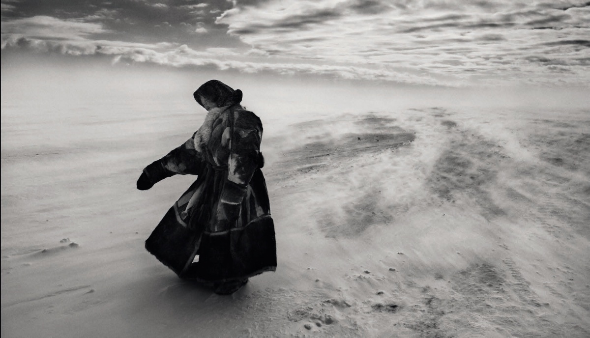 Кадры из Соль Земли (2014)