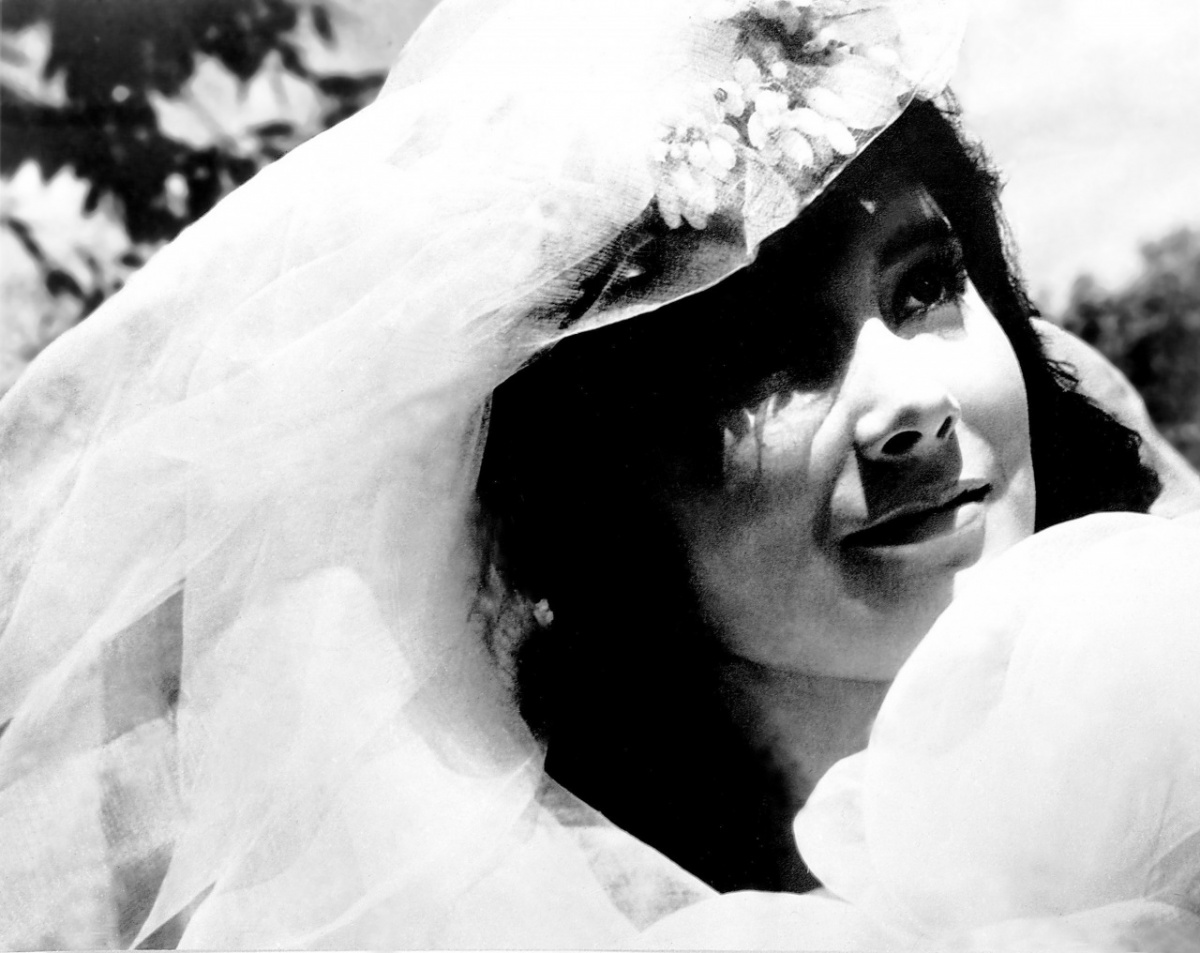 Кадры из Летят журавли (1957)