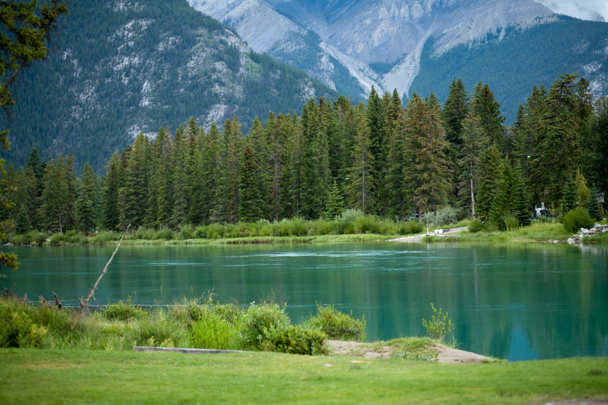 Люблю твою жену (2013)