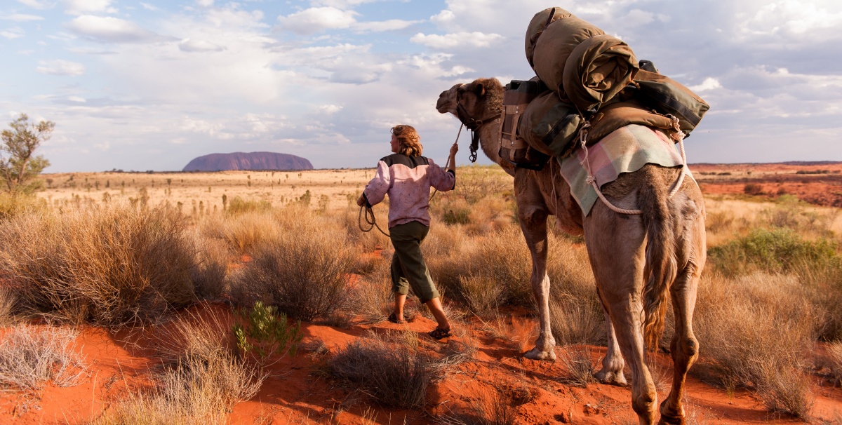 Кадры из Тропы (2013)