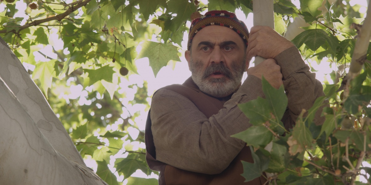 Кадры из Спасибо, папа (2014)