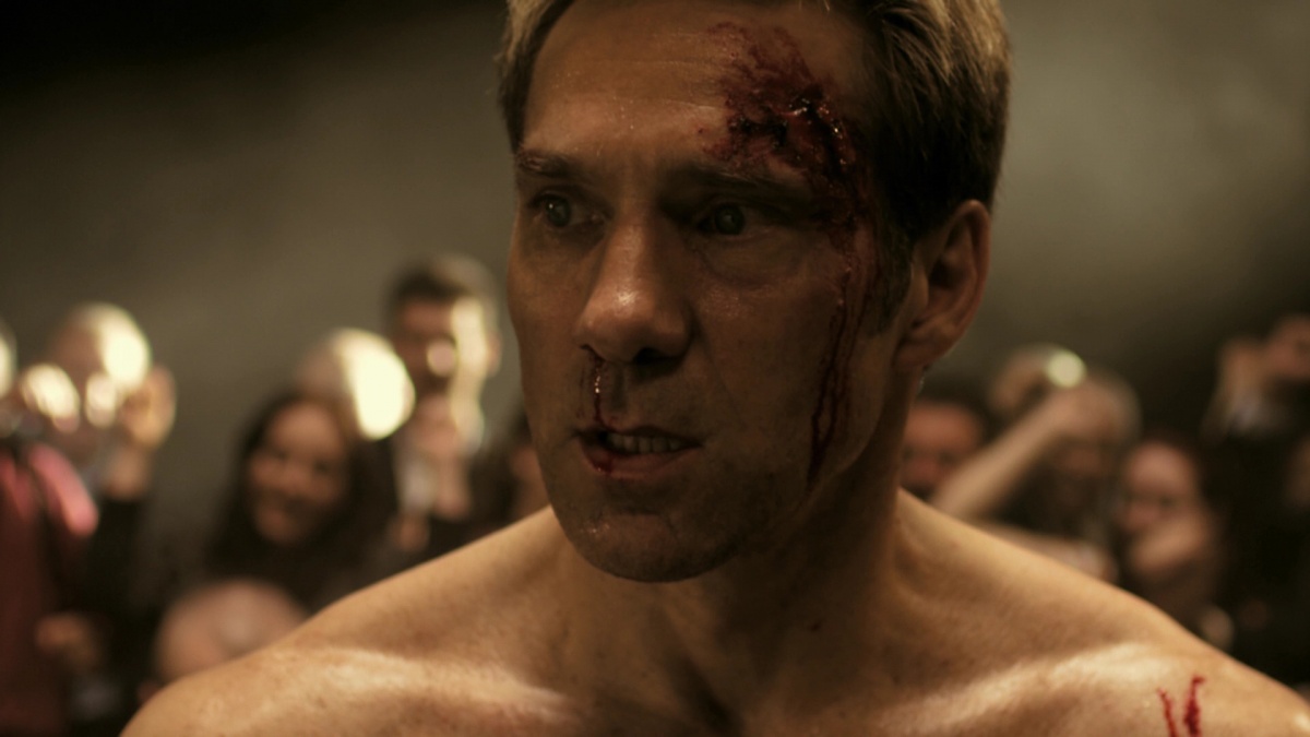 Боец поневоле (2013)