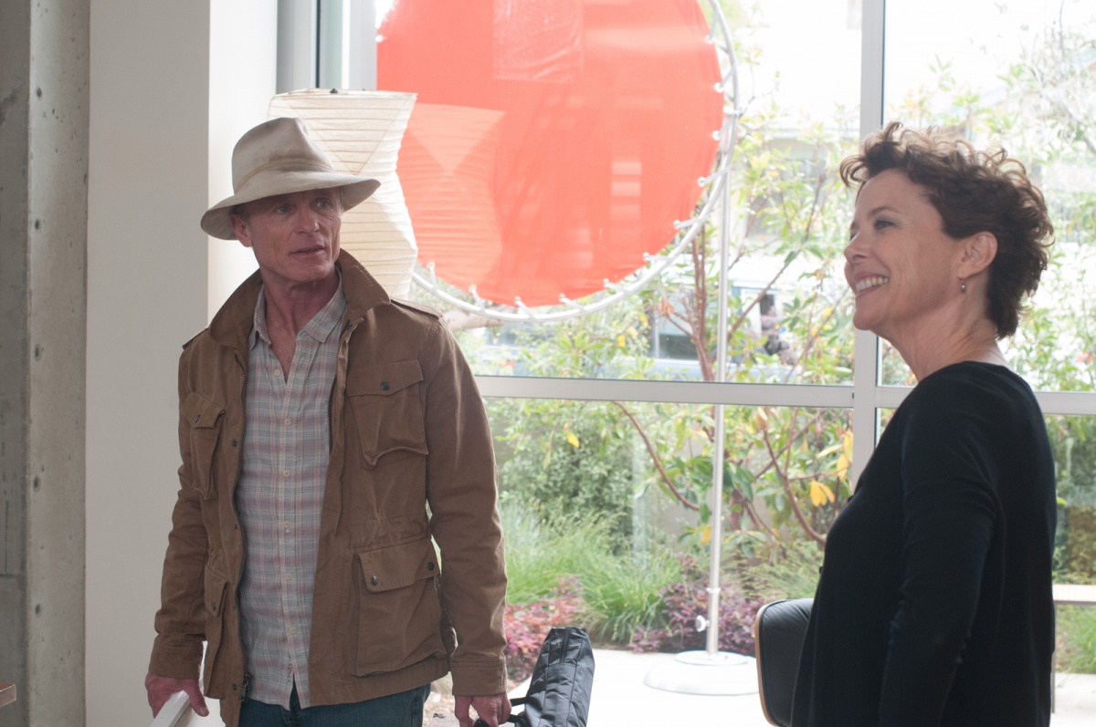 Лицо любви (2013)