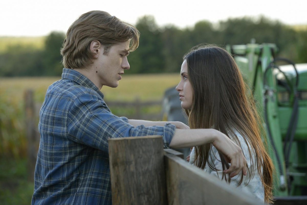 Кадры из Волки (2014)