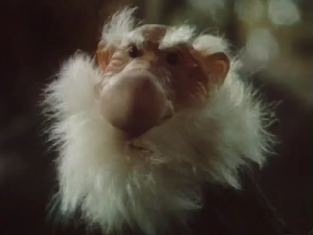 Кадры из Осторожно, караси! (1987)