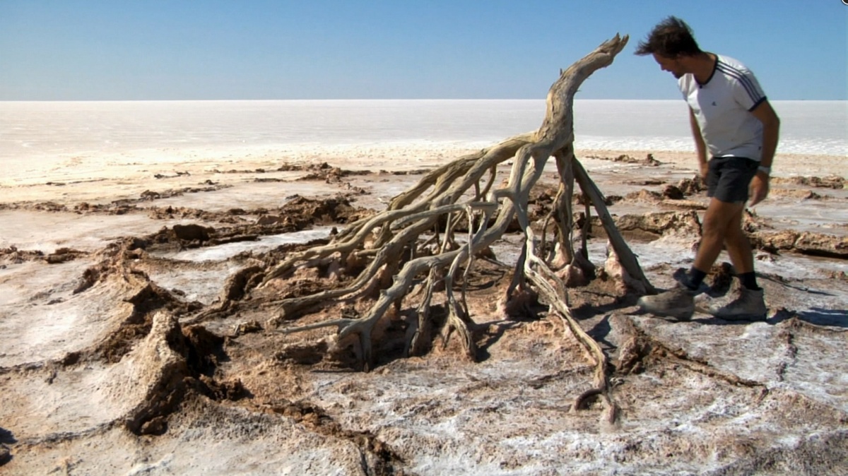 Кадры из Соль (2009)