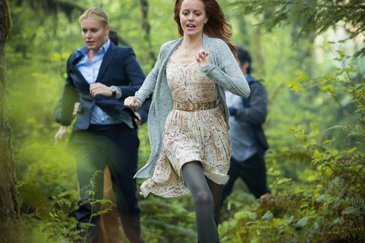 Кадры из Библиотекари (2014)