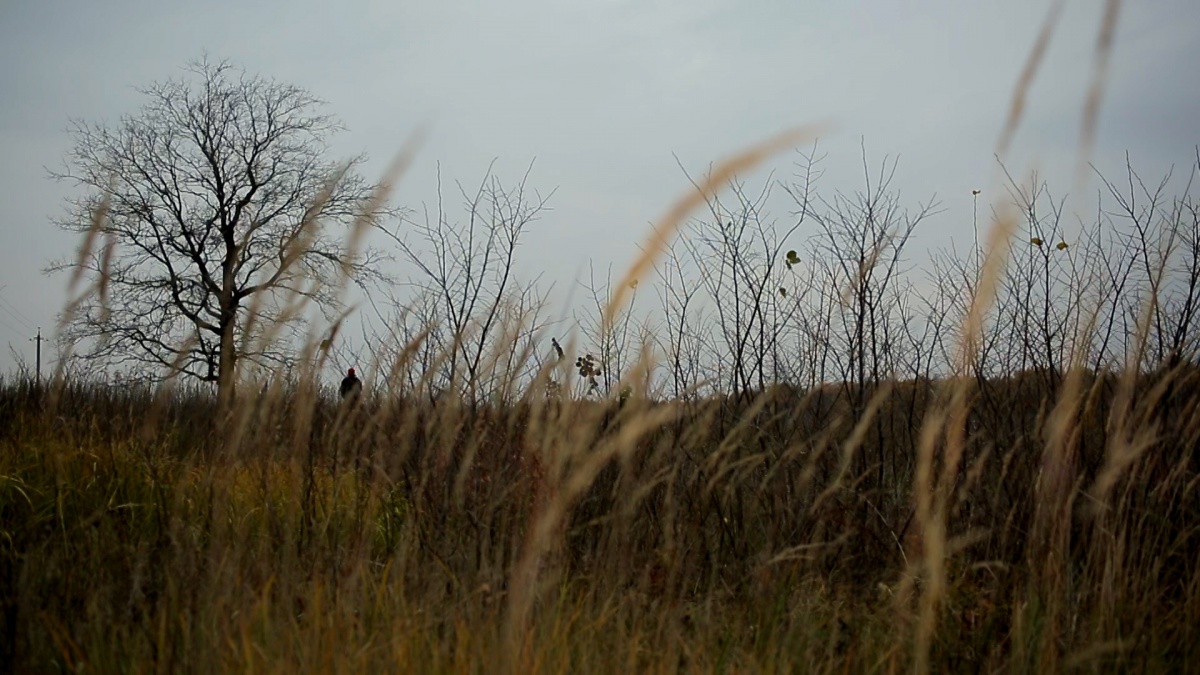 Кадры из Хорло (2015)