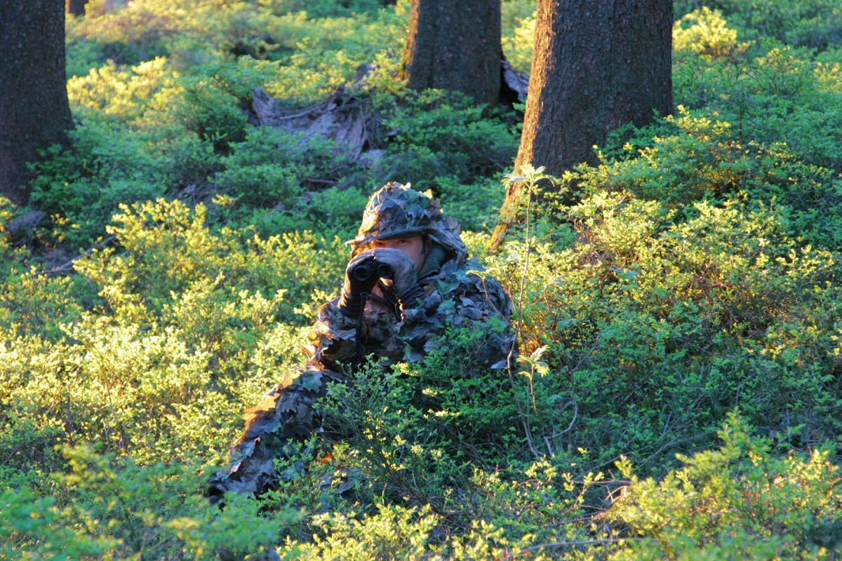 Кадры из Зелёная планета (2012)