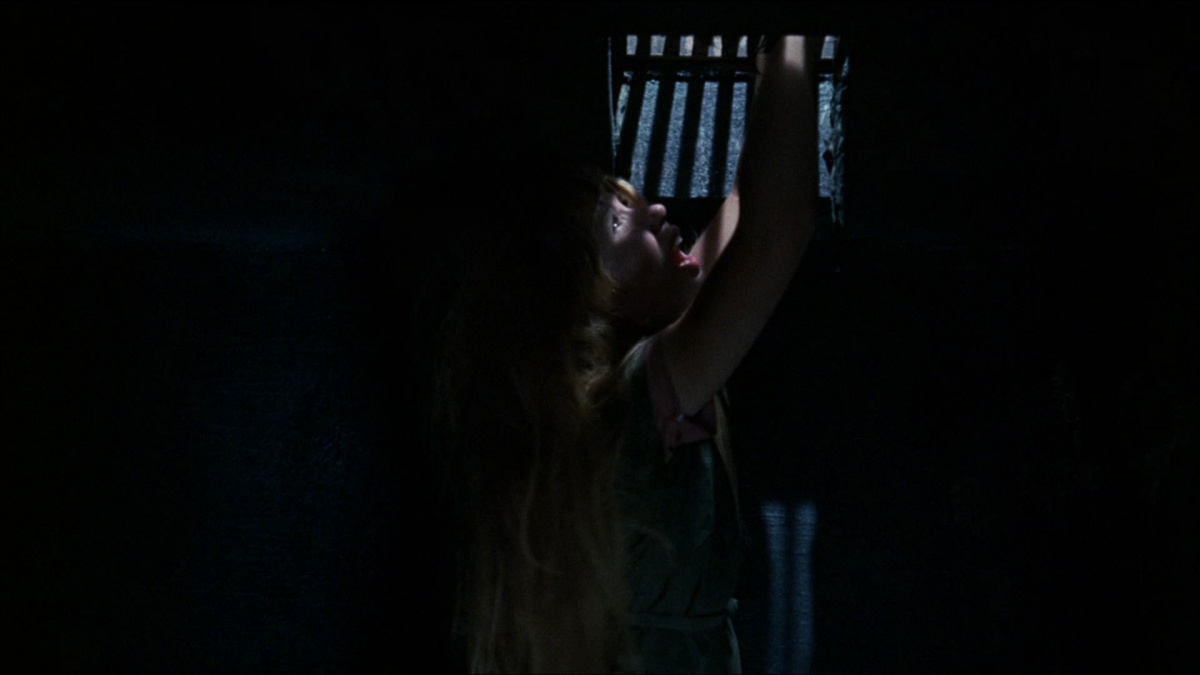 Кадры из Женщины в клетках (1971)