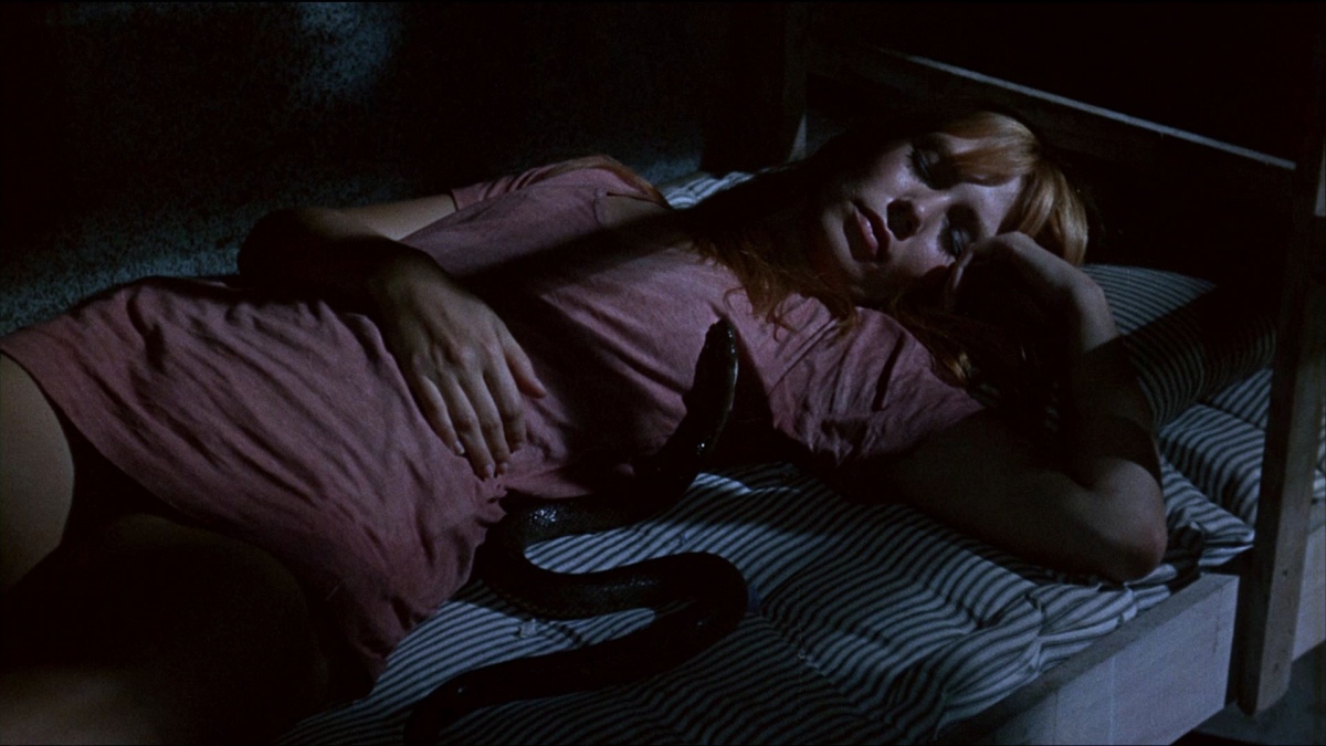 Кадры из Женщины в клетках (1971)