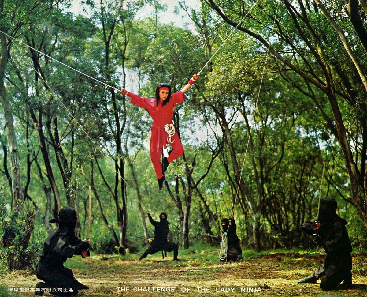 Кадры из Задание леди-ниндзя (1983)