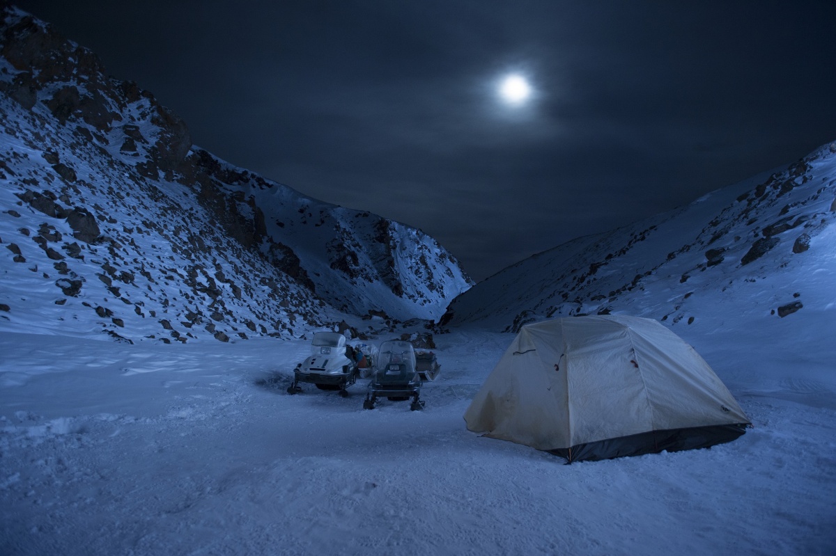 Кадры из Влюбленные и медведь (2016)