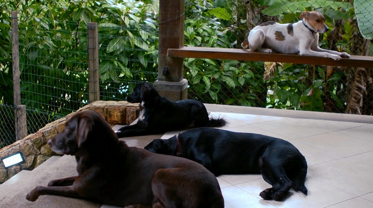 Кадры из Citizenfour: Правда Сноудена (2014)