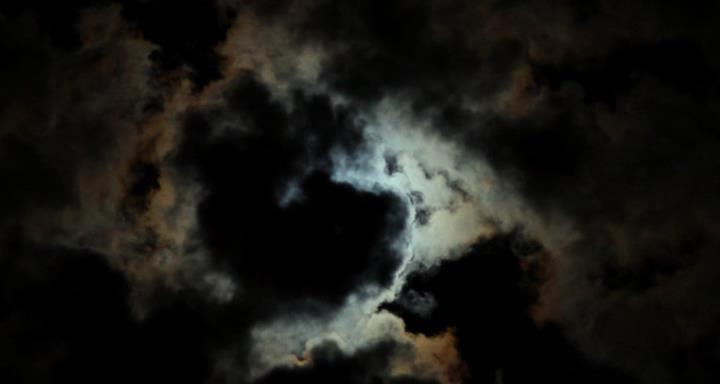 Кадры из Черная роза (2017)