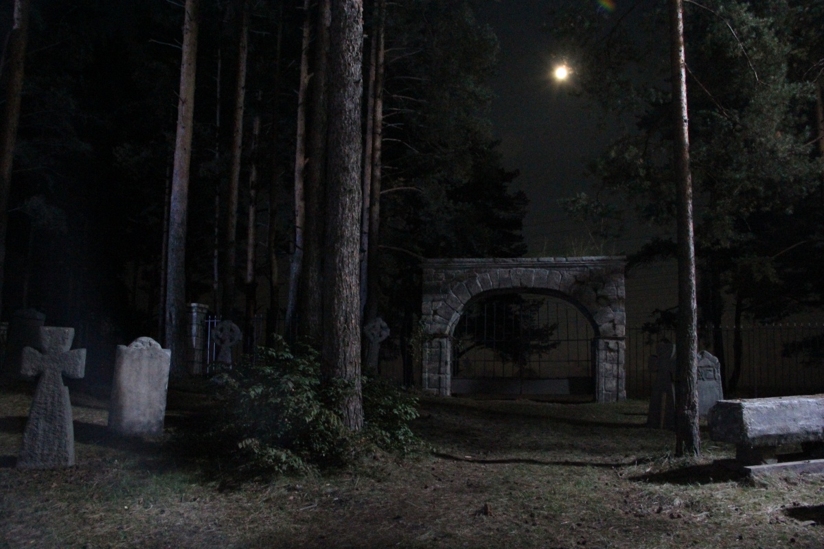 Кадры из Парень с нашего кладбища (2015)