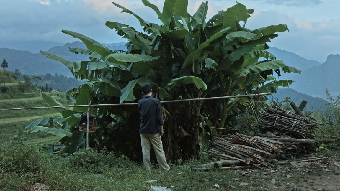 Кадры из Кайлийская меланхолия (2015)