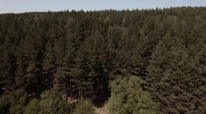 Кадры из Озеро страха: Анаконда (2015)