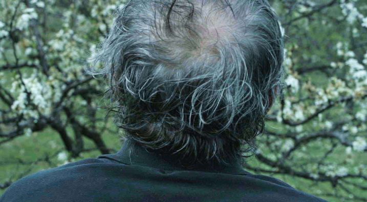 Брат Дэян (2015)