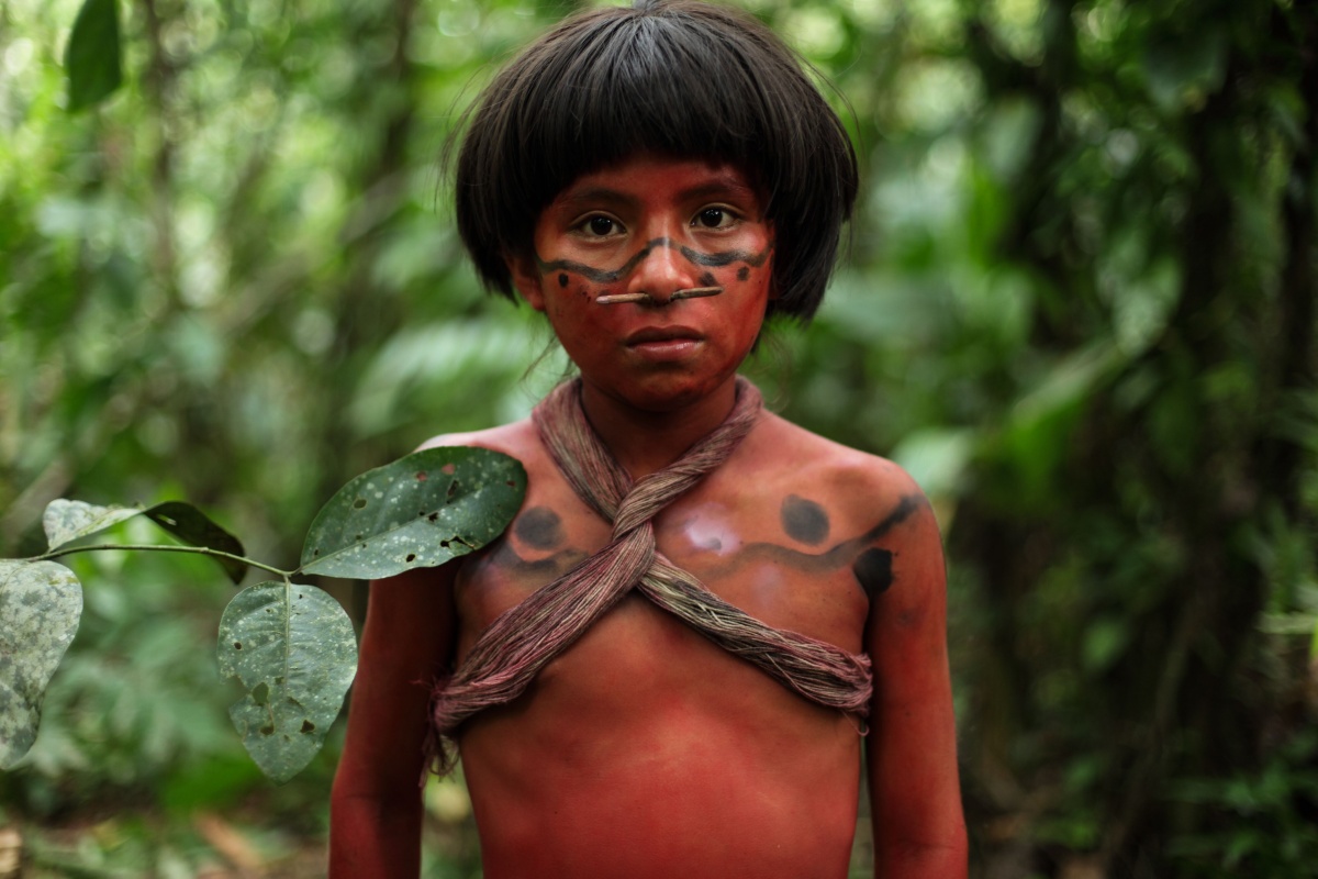 Кадры из Зеленый ад (2013)